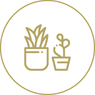 Espaço para jardim de inverno